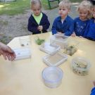 IMG-20210616-WA0006