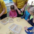 IMG-20210616-WA0009