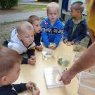 IMG-20210616-WA0025