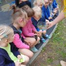 IMG-20210616-WA0003