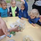 IMG-20210616-WA0017