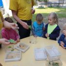 IMG-20210616-WA0016