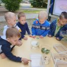 IMG-20210616-WA0023