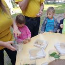IMG-20210616-WA0018